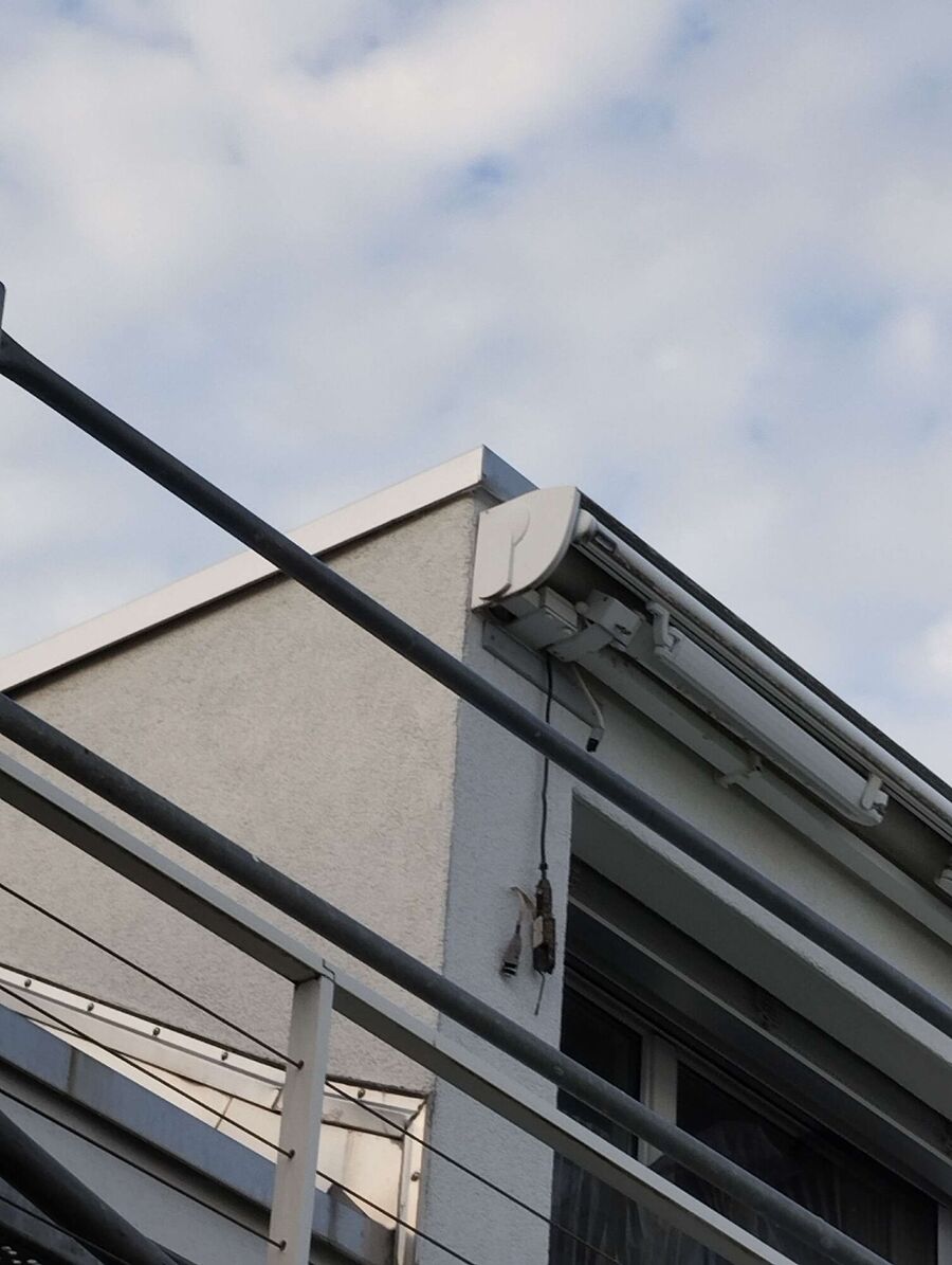 Bee nest at the house remove