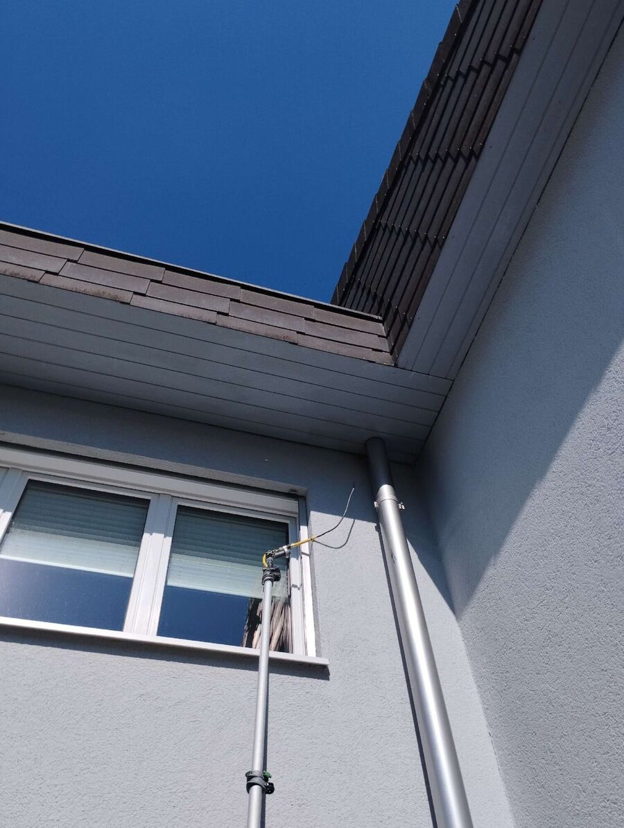 Bee nest at the house remove