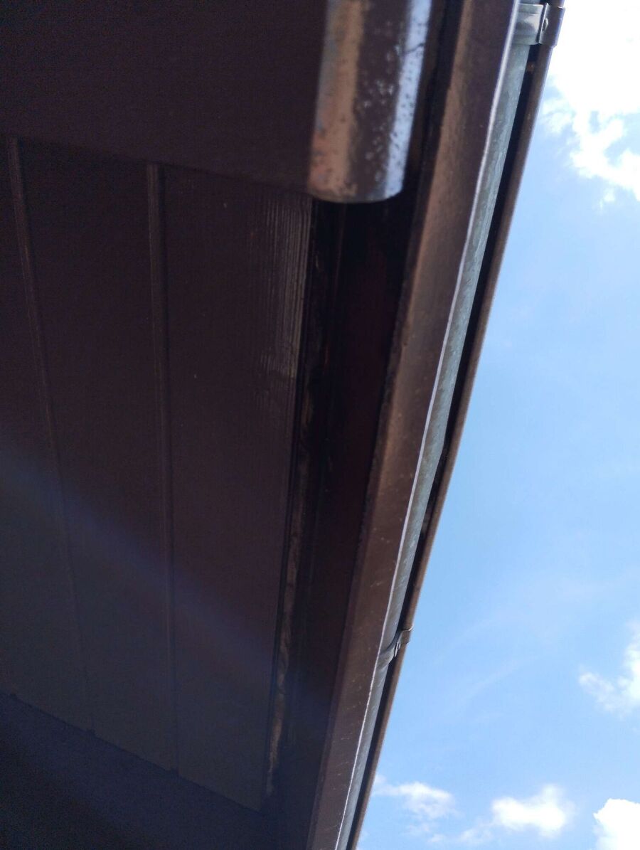 Relocate bees & remove bee nest