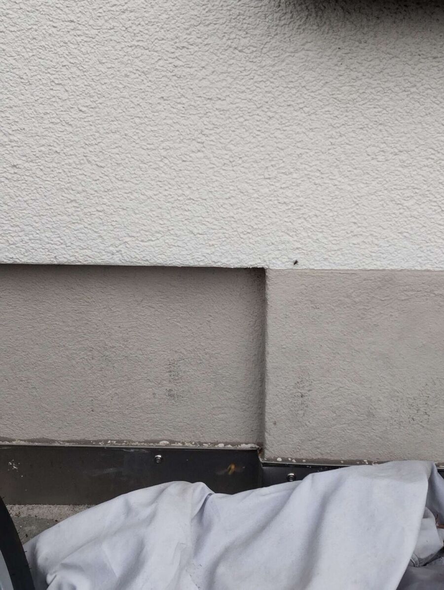 Bee nest at the house remove