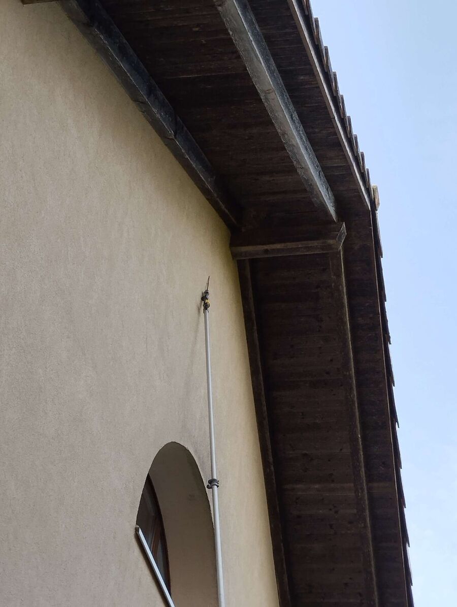 Relocate bees & remove bee nest