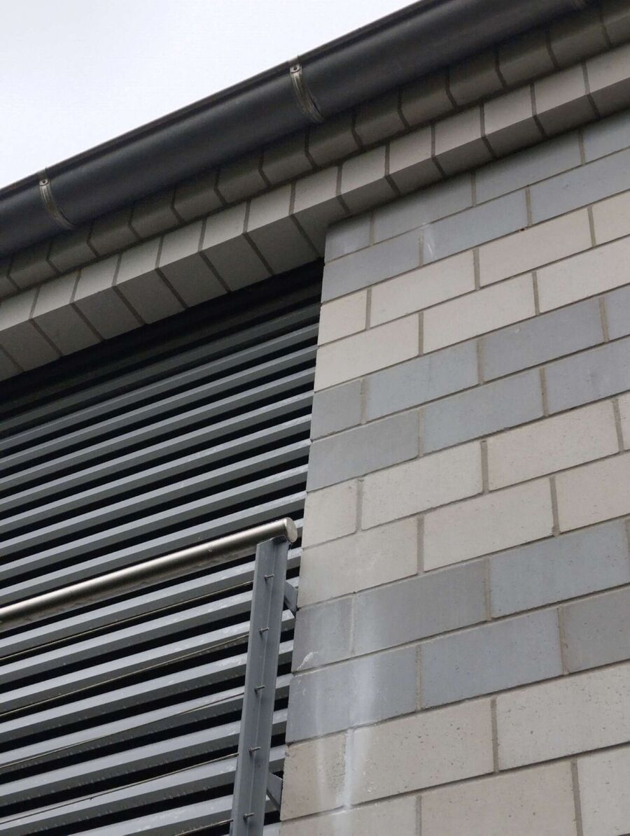 Bee nest at the house remove