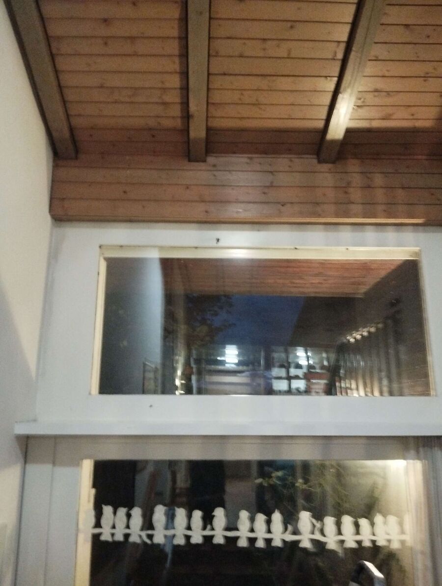 Bee nest at the house remove