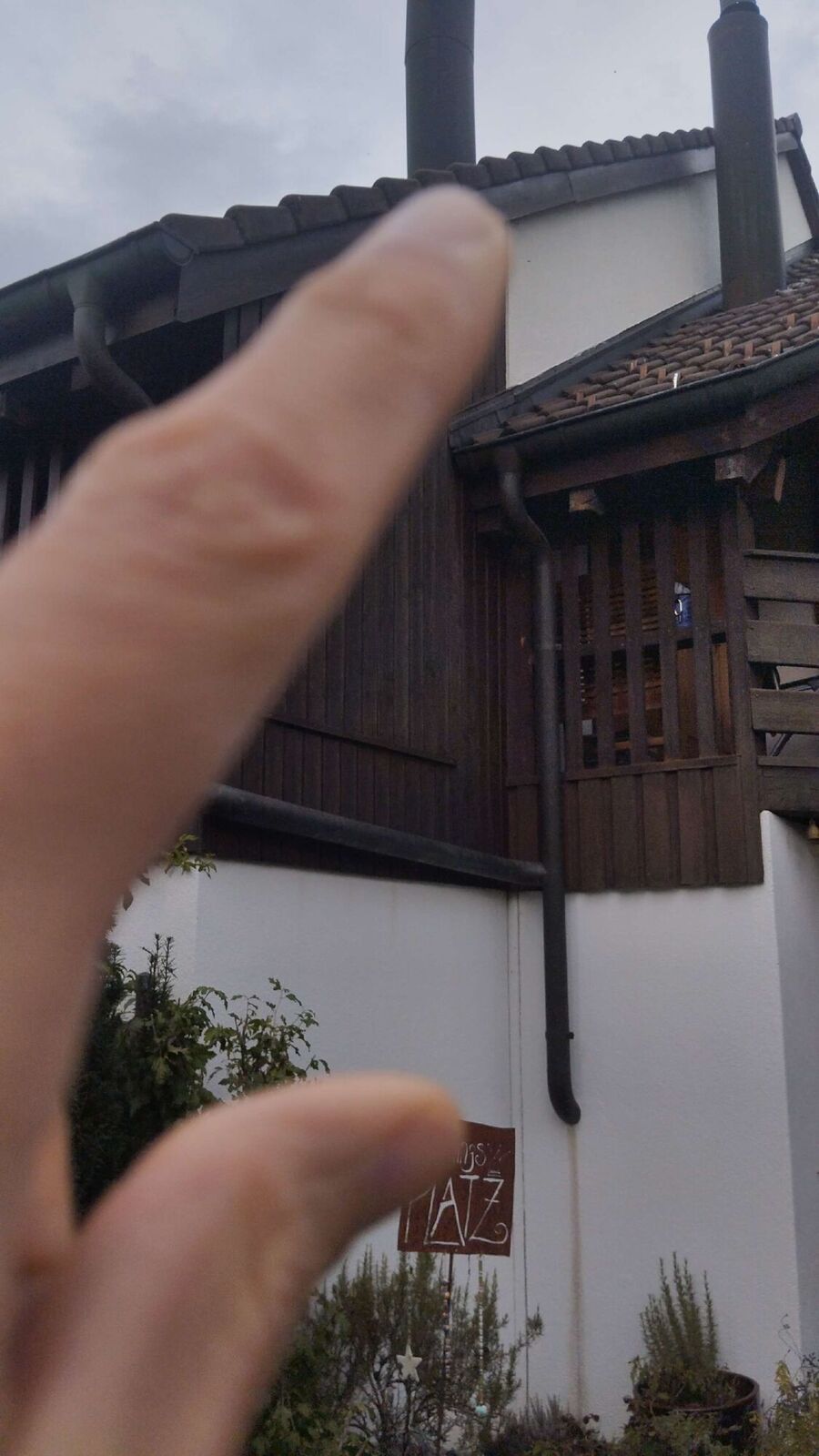 Bee nest at the house remove