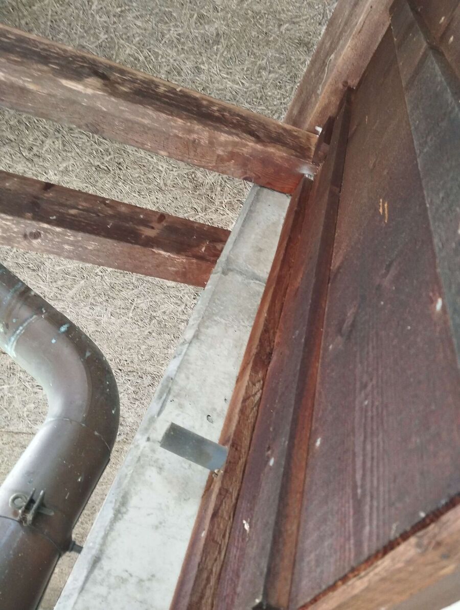 Bee nest at the house remove