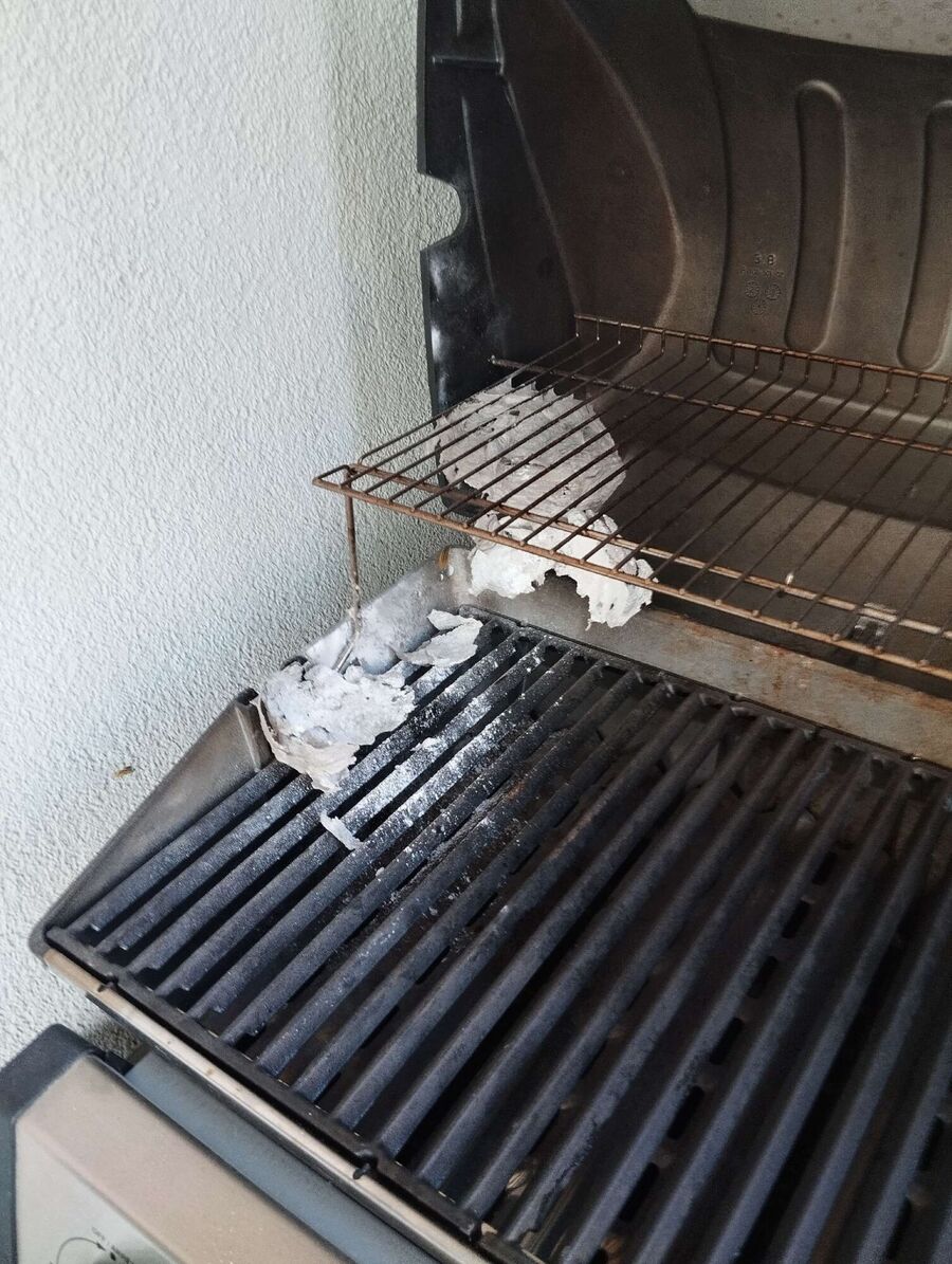 Relocate bees & remove bee nest