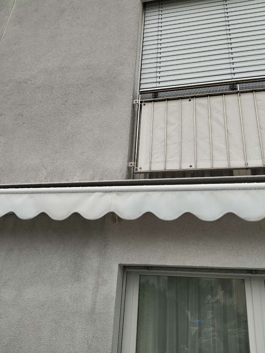 Bee nest at the house remove