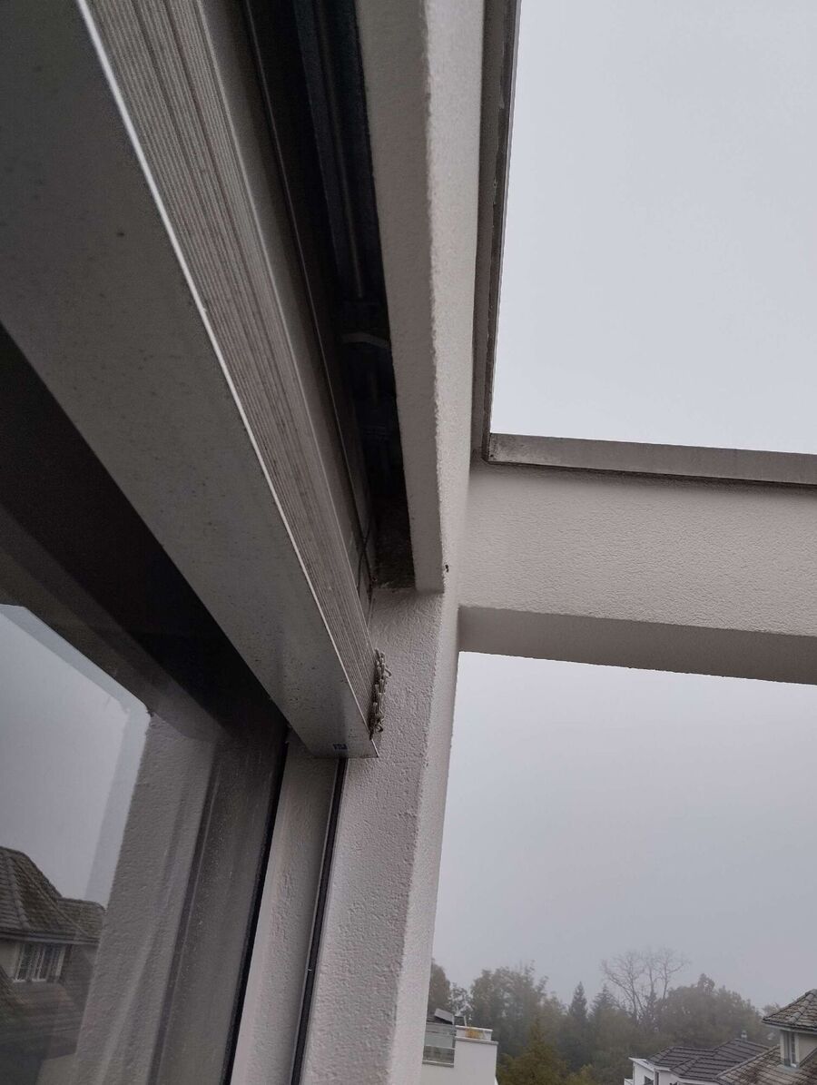 Bee nest at the house remove