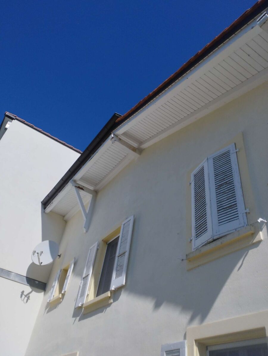 Bee nest at the house remove