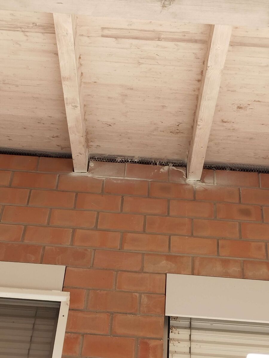 Bee nest at the house remove