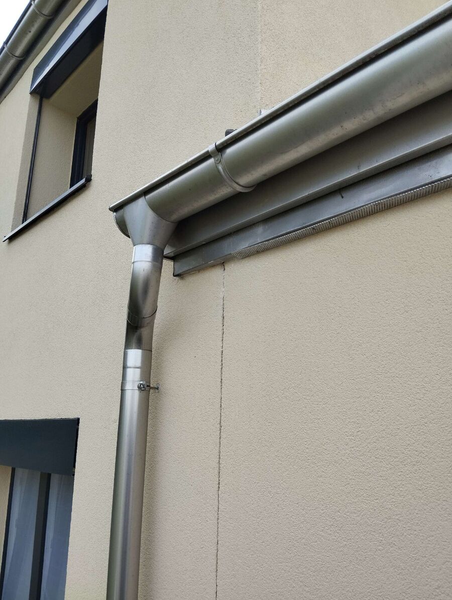 Bee nest at the house remove