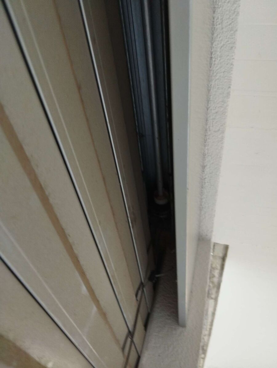 Relocate bees & remove bee nest