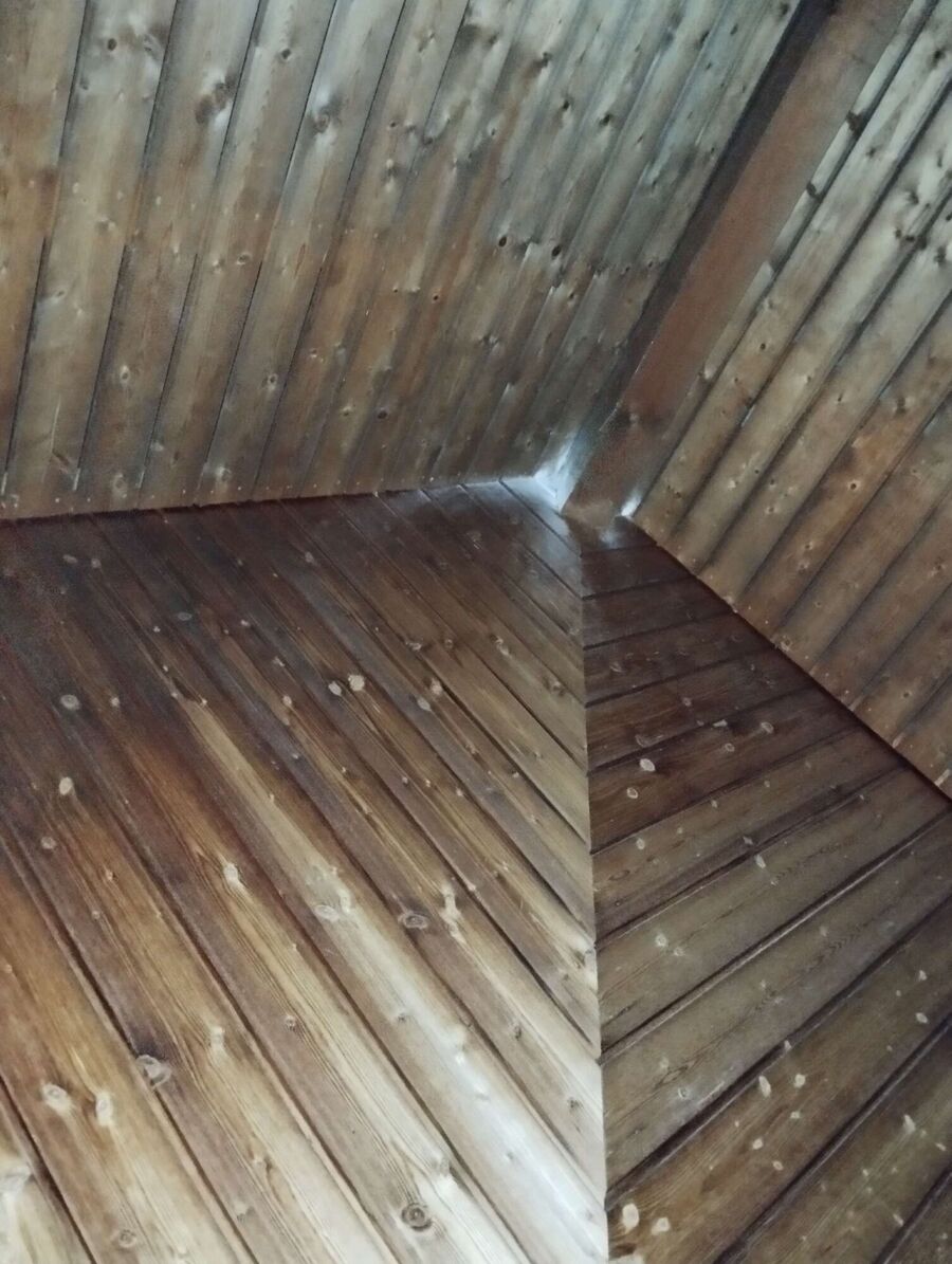 Bee nest at the house remove