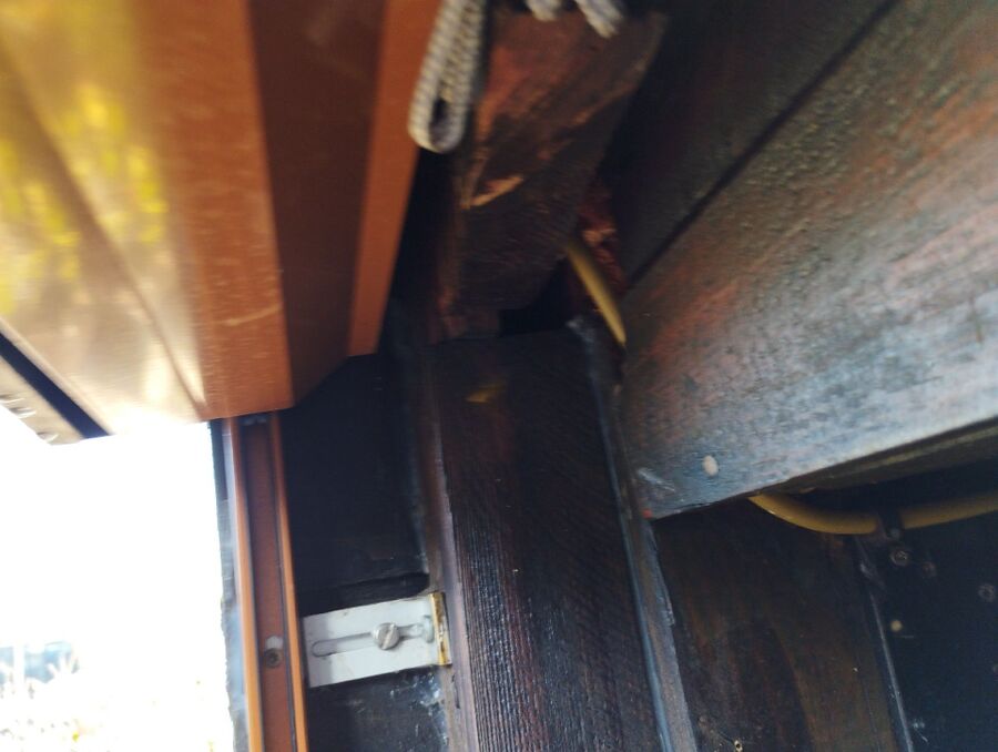 Bee nest at the house remove