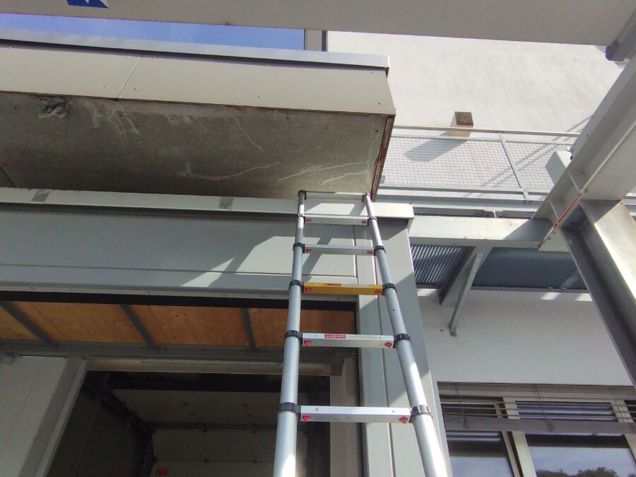 Bee nest at the house remove