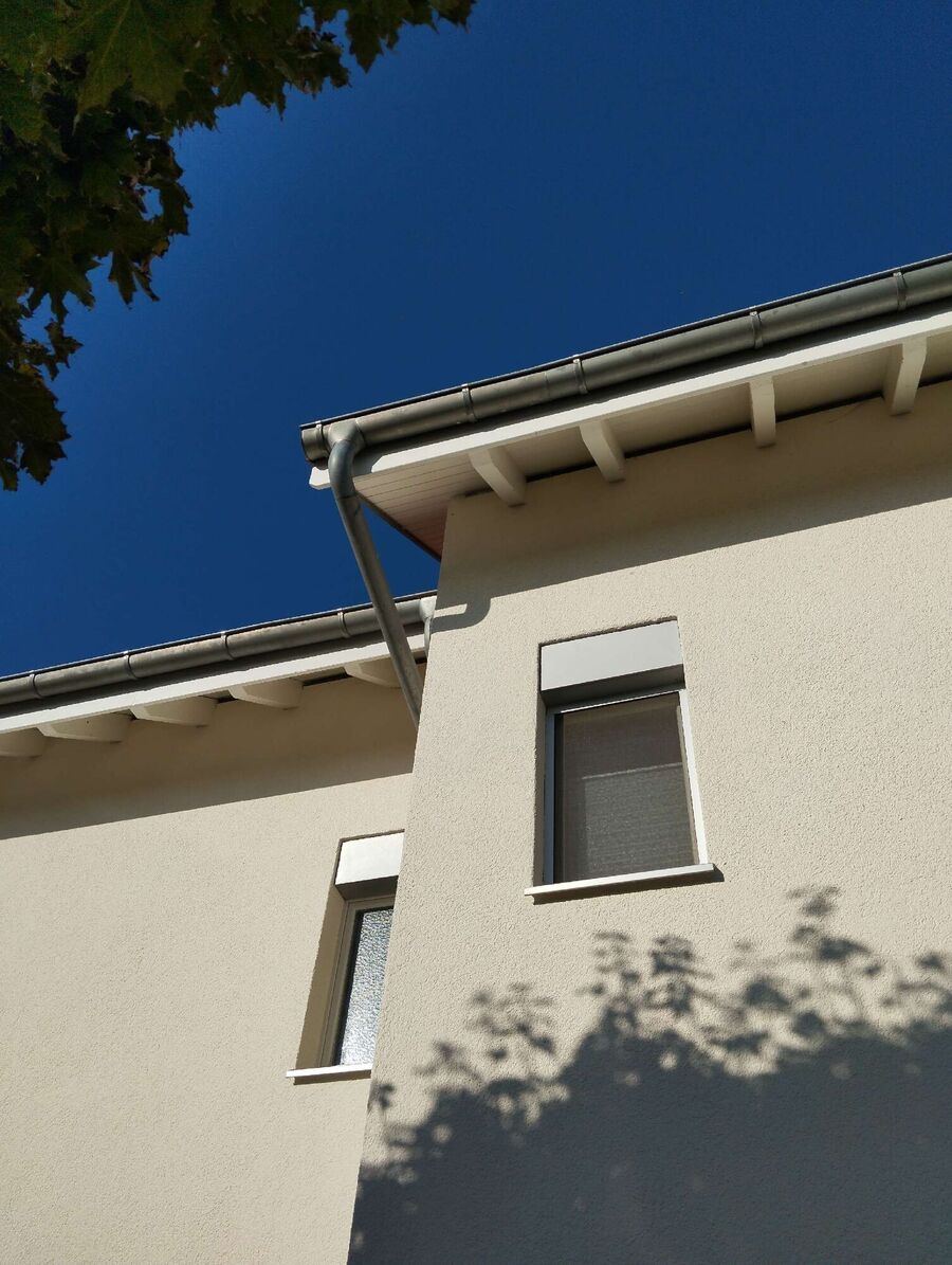 Bee nest at the house remove