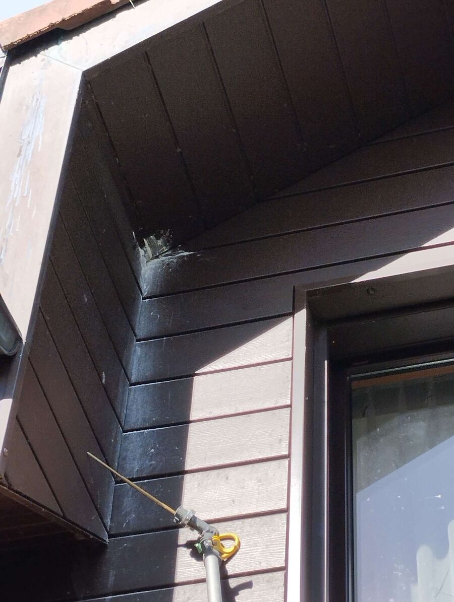 Bee nest at the house remove