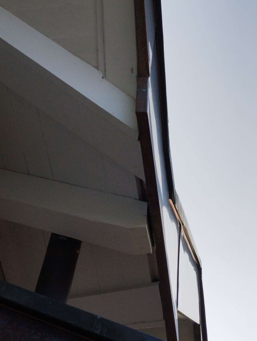 Relocate bees & remove bee nest