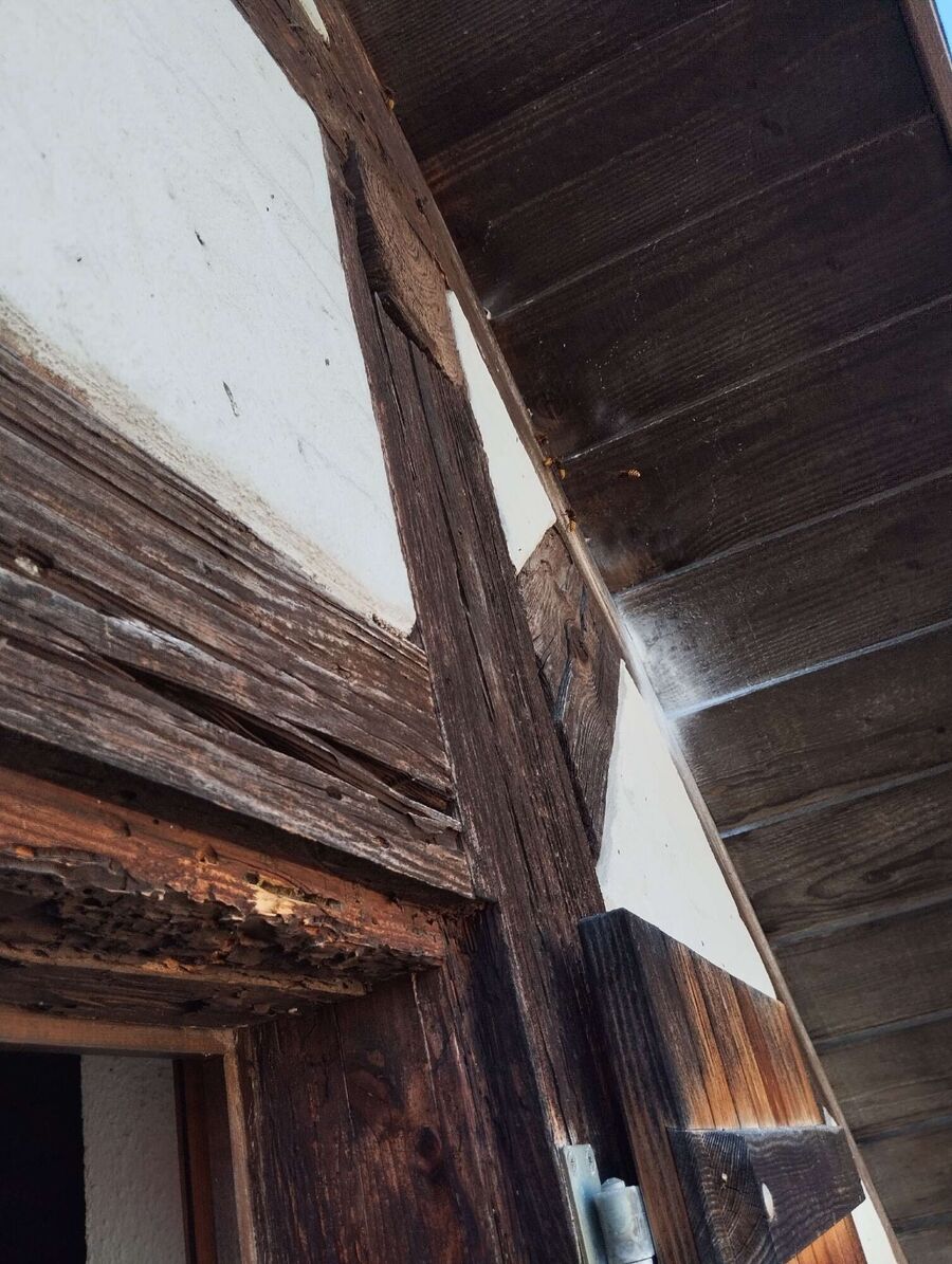 Bee nest at the house remove