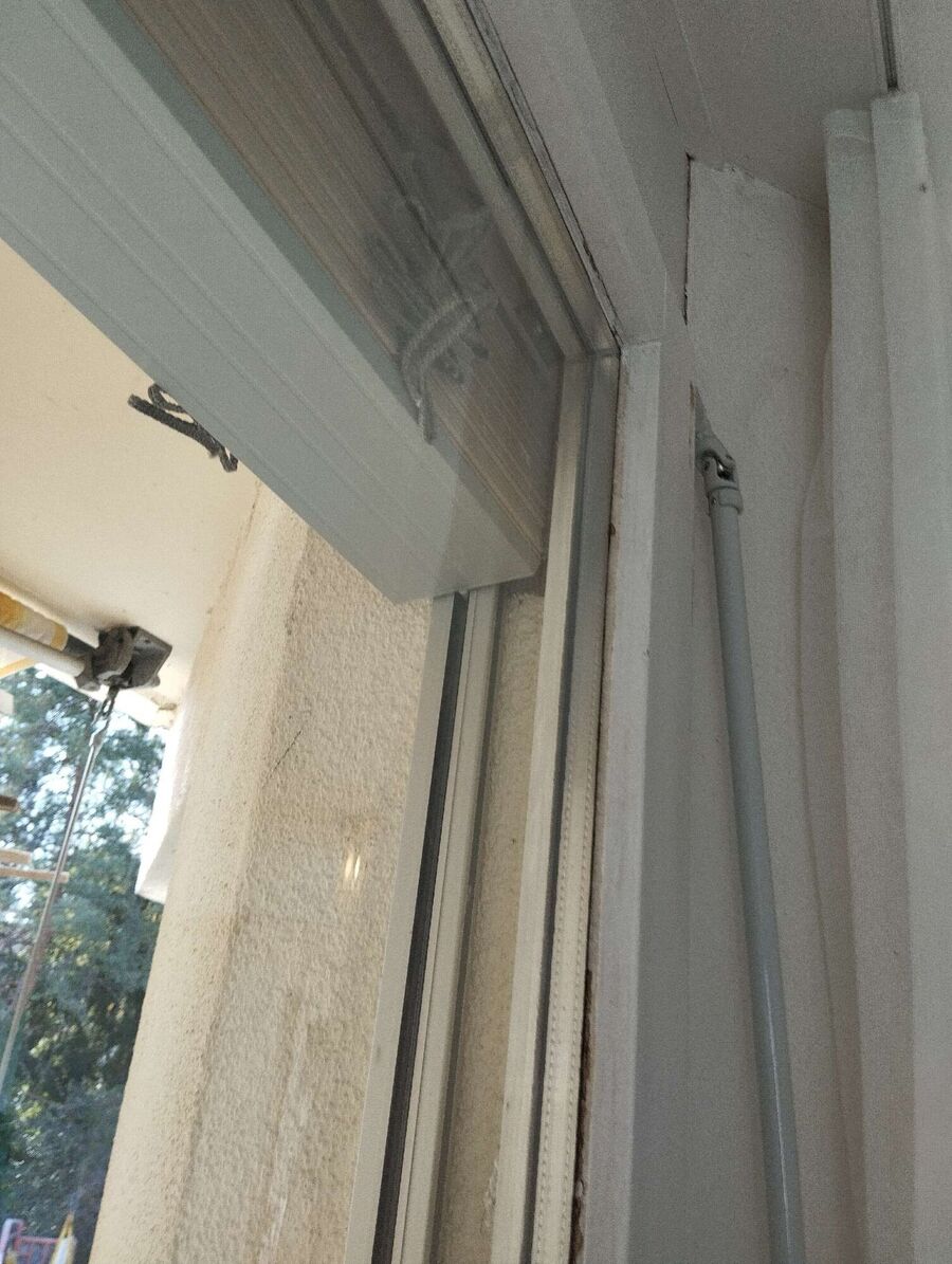 Relocate bees & remove bee nest