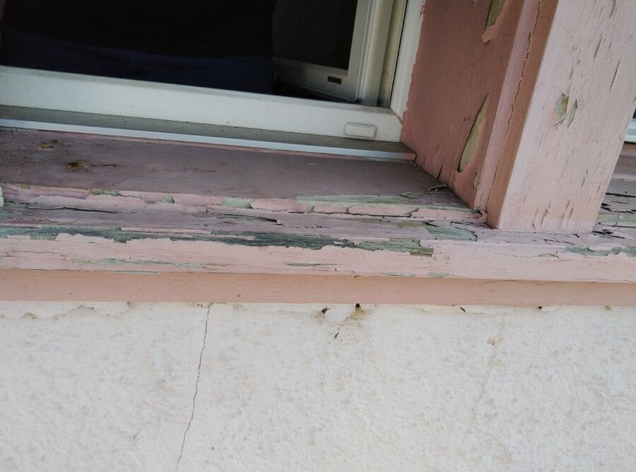 Bee nest at the house remove