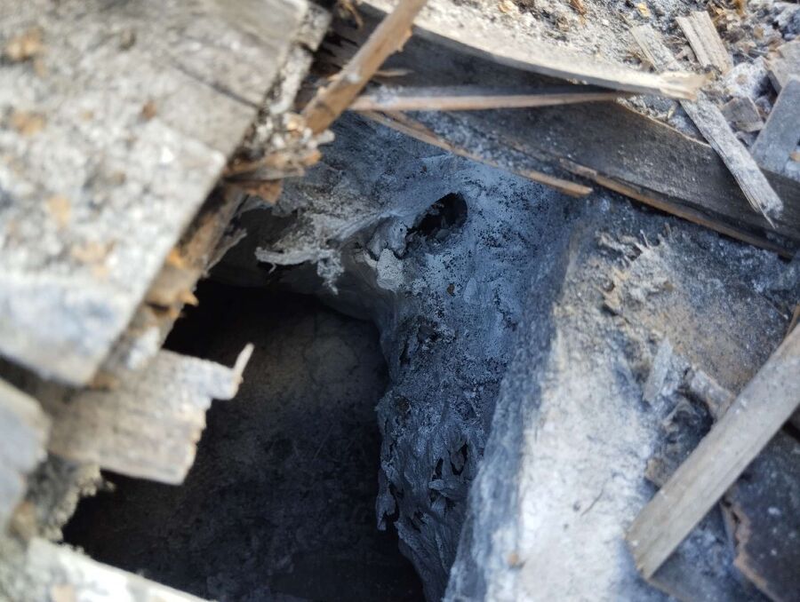 Bee nest at the house remove