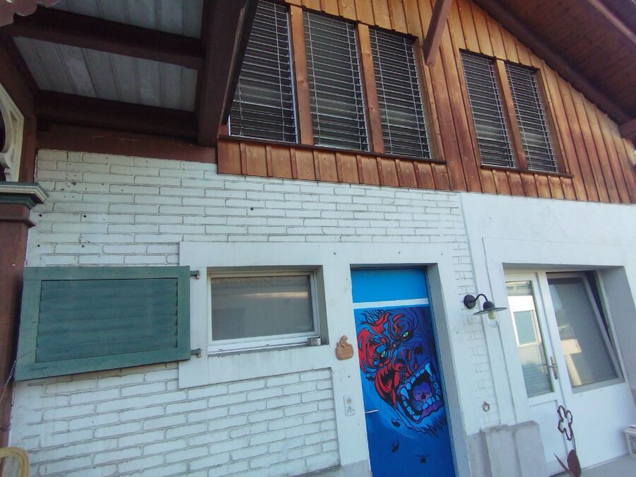 Bee nest at the house remove