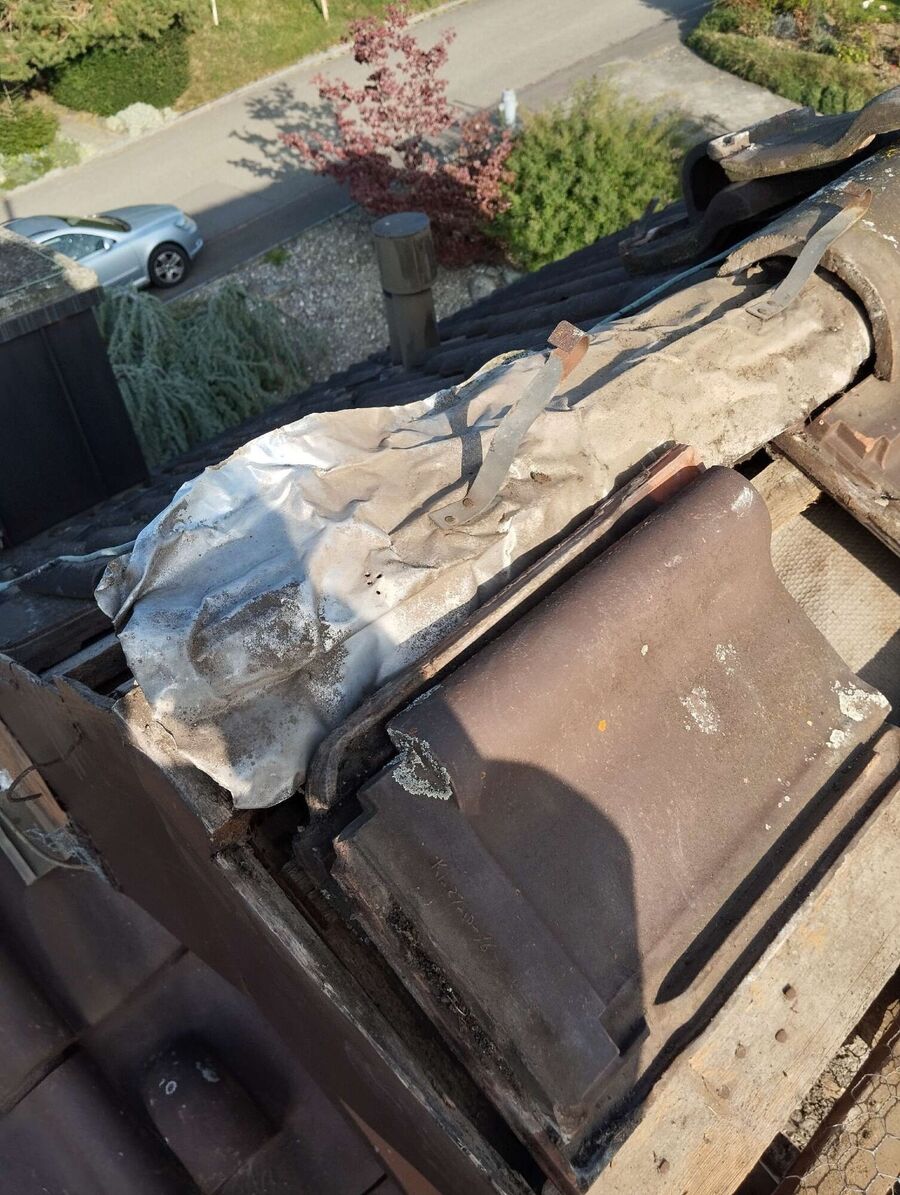 Relocate bees & remove bee nest