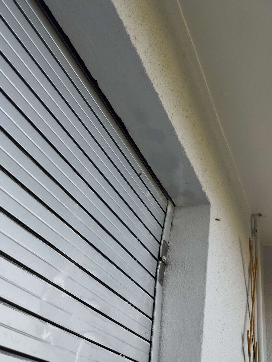 Bee nest at the house remove