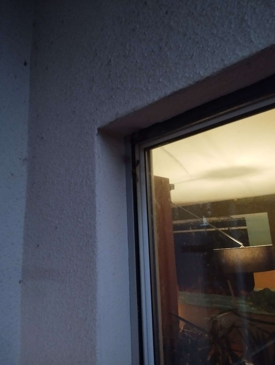 Bee nest at the house remove