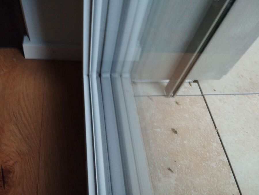 Bee nest at the house remove