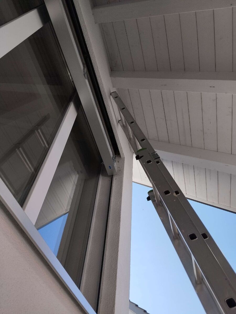 Bee nest at the house remove