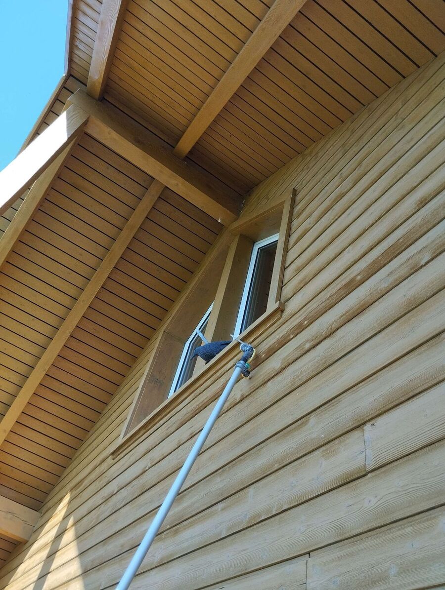 Bee nest at the house remove