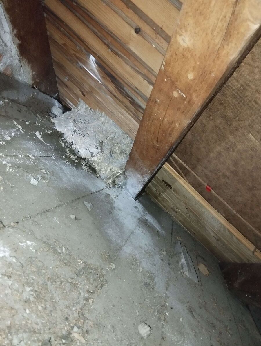 Relocate bees & remove bee nest