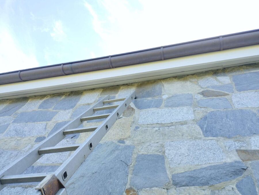 Bee nest at the house remove