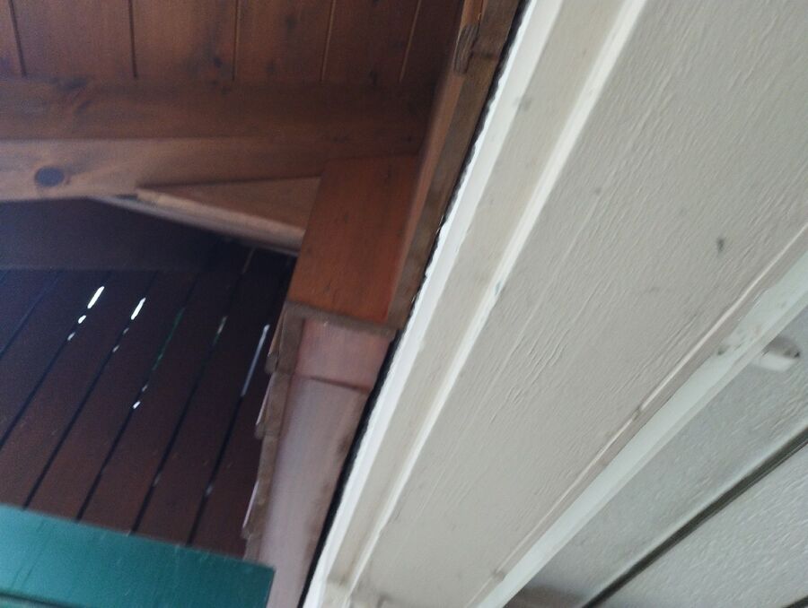 Relocate bees & remove bee nest