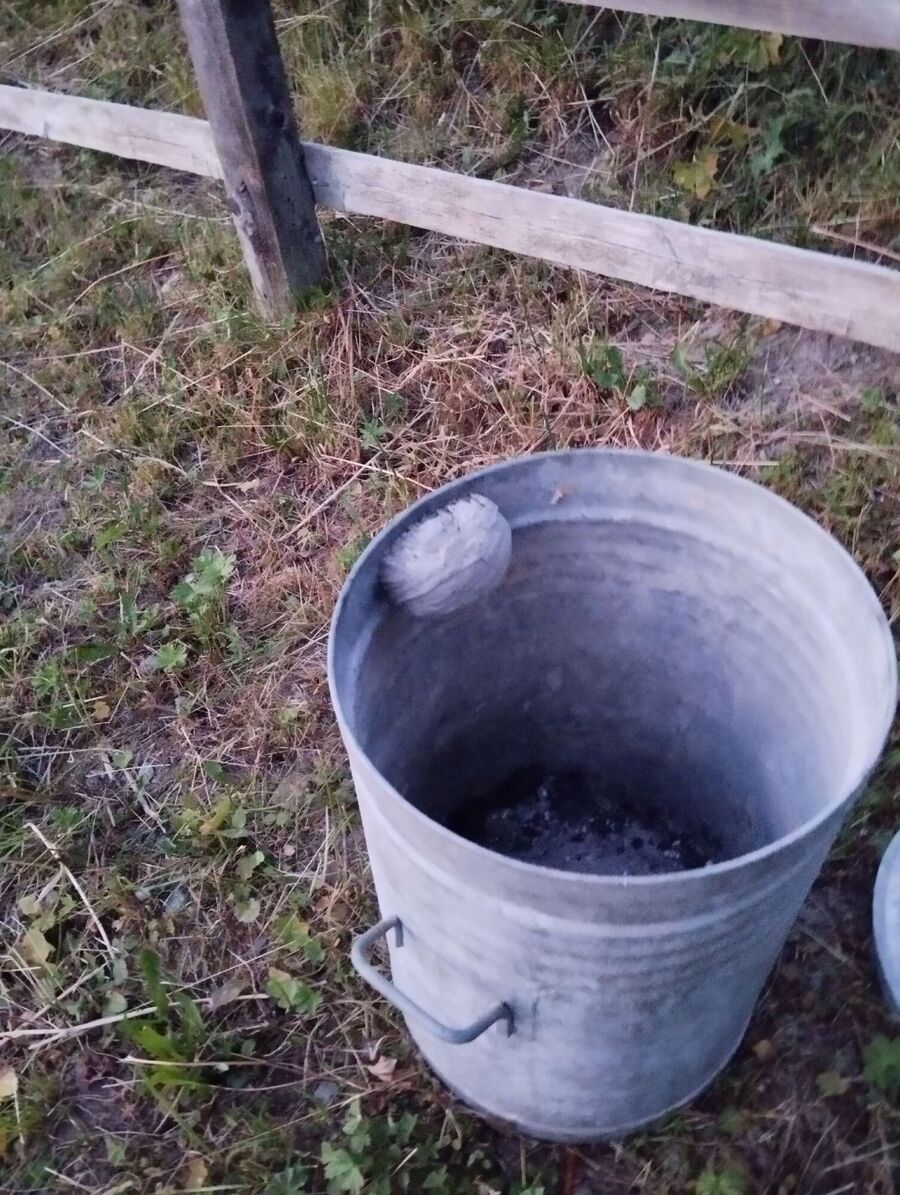 Relocate bees & remove bee nest