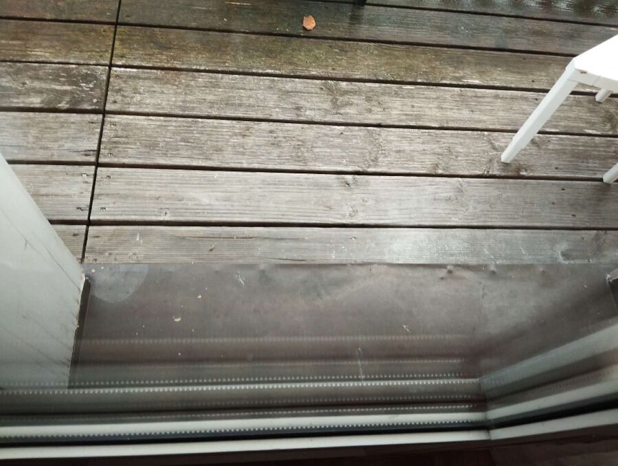 Relocate bees & remove bee nest