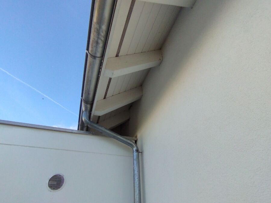 Bee nest at the house remove