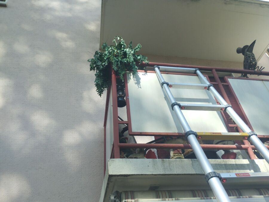 Bee nest at the house remove