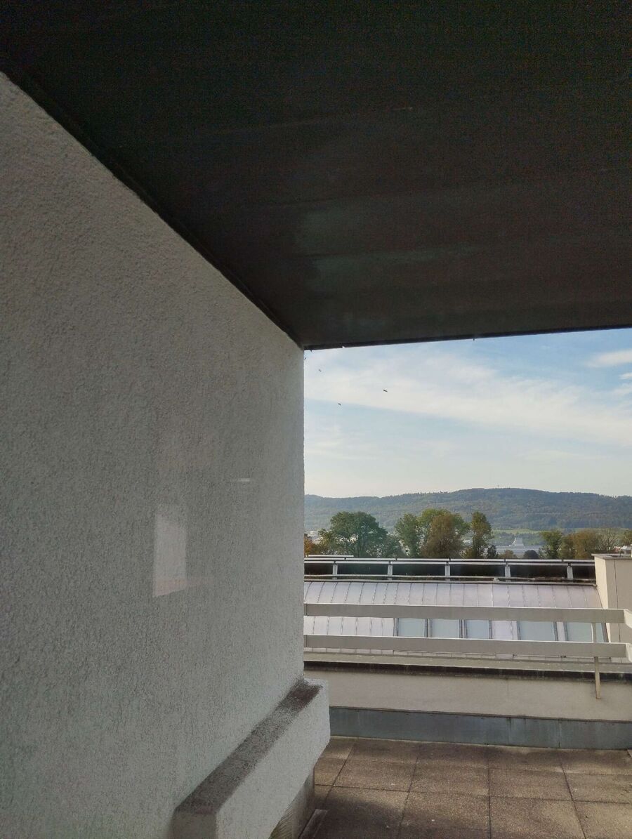 Bee nest at the house remove