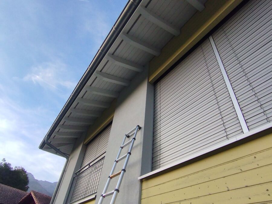 Bee nest at the house remove