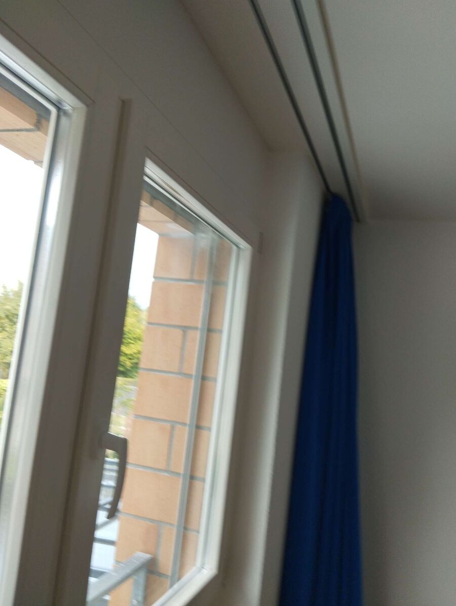 Relocate bees & remove bee nest