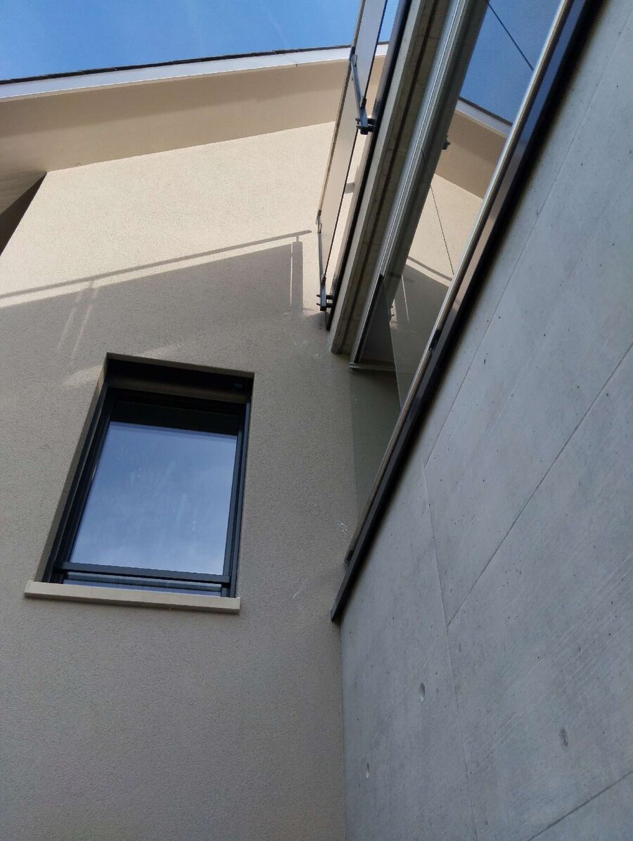 Relocate bees & remove bee nest