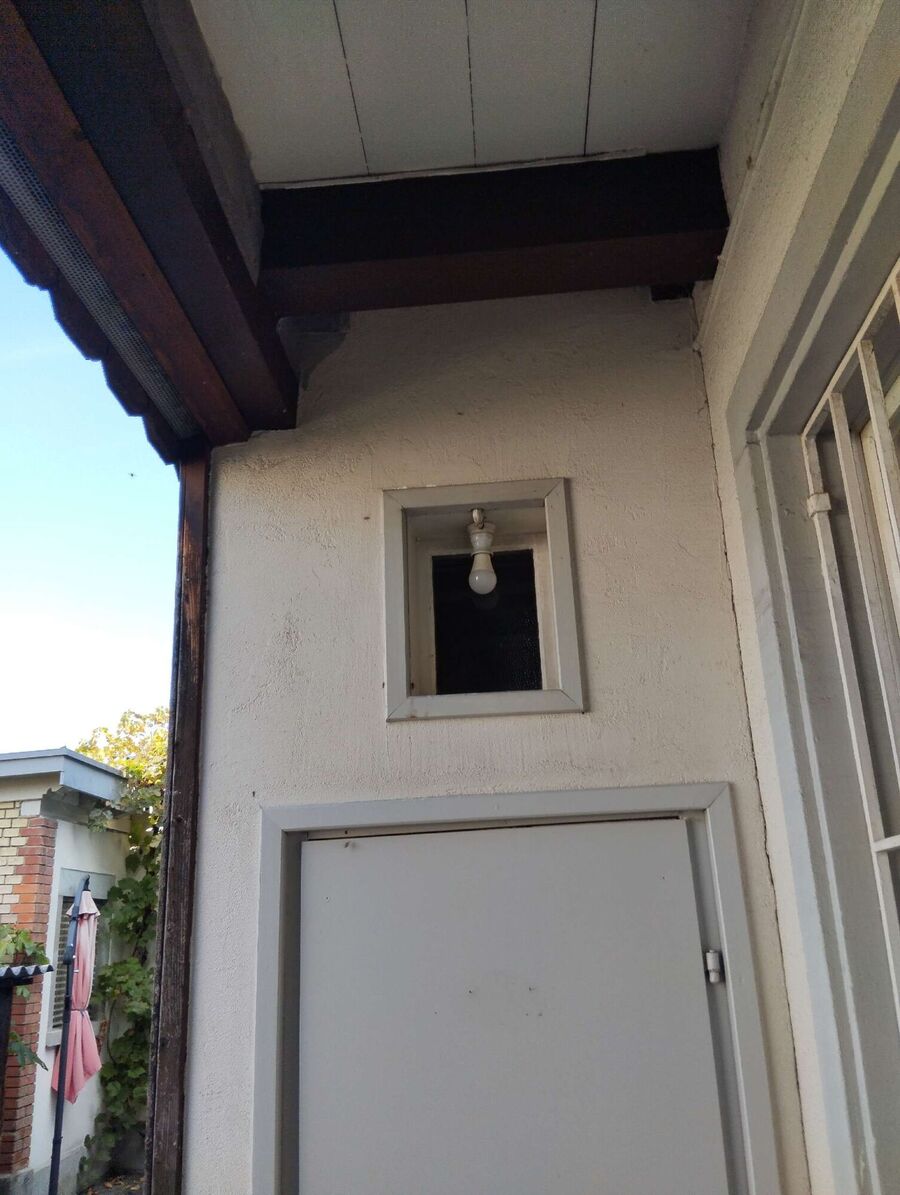 Bee nest at the house remove