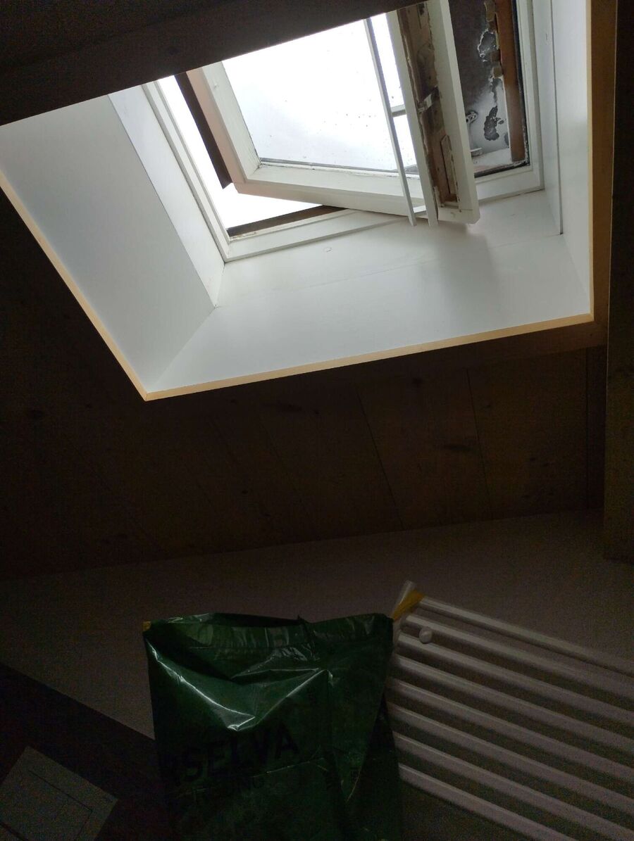 Bee nest at the house remove