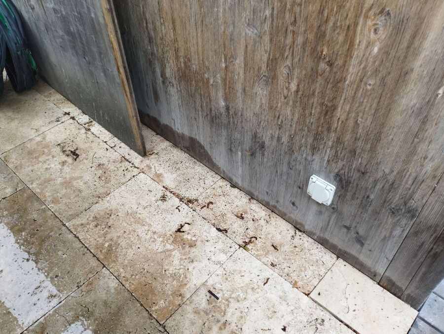 Bee nest at the house remove