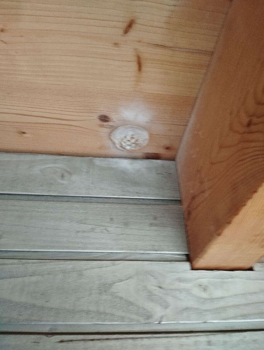 Bee nest at the house remove