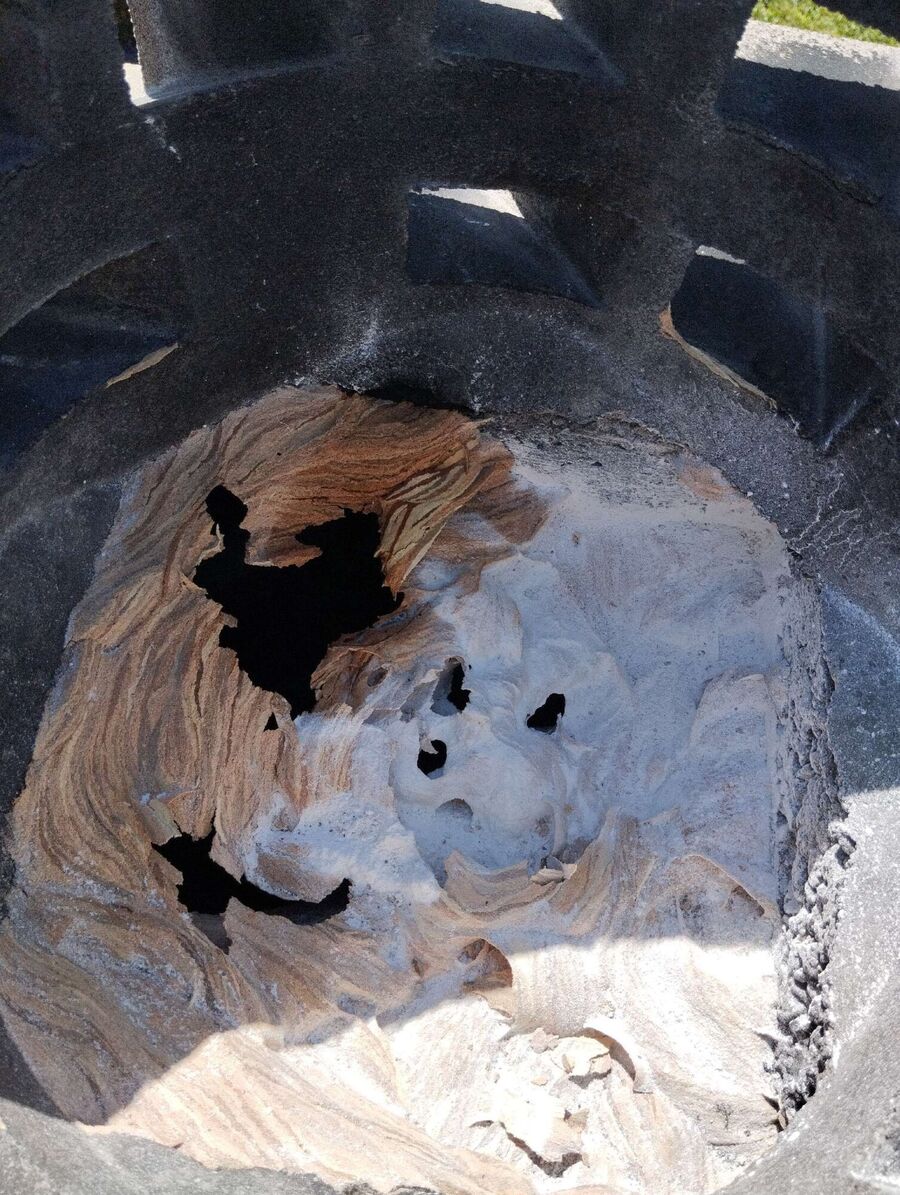 Bee nest at the house remove