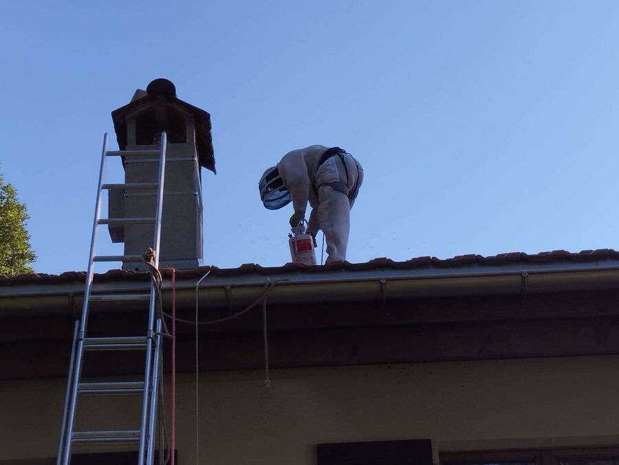 Bee nest at the house remove